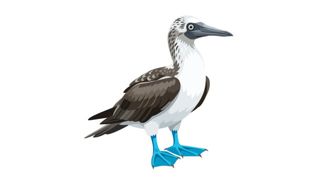 Blue footed booby bird illustration concept vector illustration for creative projects and modern business isolated background element