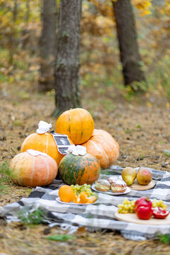 A picnic with pumpkins, fruit, and a sonogram creates a beautiful fall pregnancy announcement