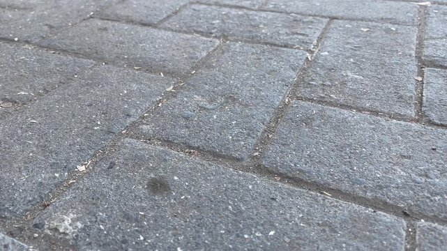 Outdoor Paved Pedestrian Footpath Surface for Video Background