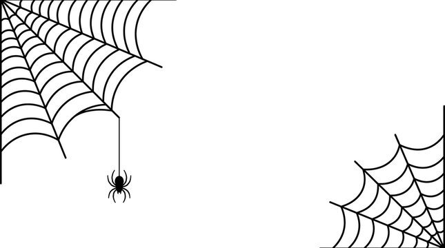 Spider webs in two corners of a white background with a small hanging spider illustration with bottom right corners webs positioned top