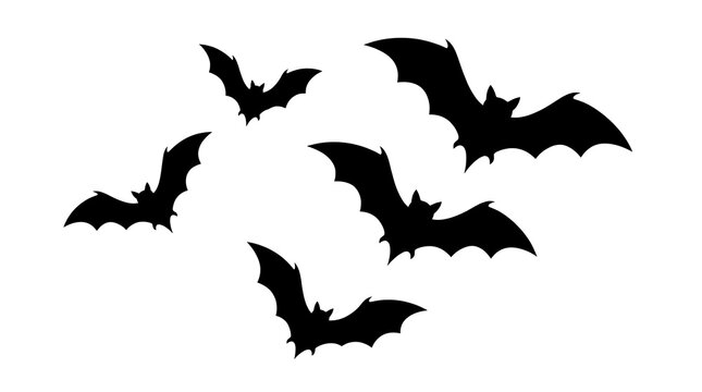 Five black bat silhouettes flying in a group isolated on a plain white background with silhouettes shown various flying positions