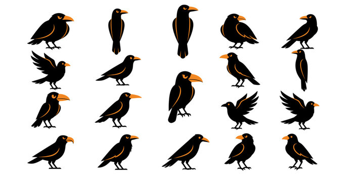 Collection of ravens in various poses isolated on a white background