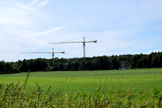 Fild and crane