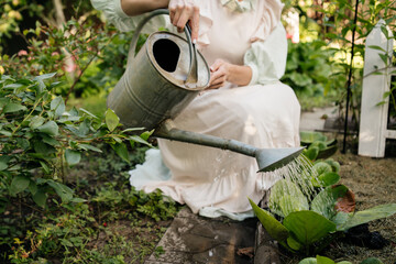 Watering plants with a vintage galvanized watering can in a summer garden © Oleksandra Dyka