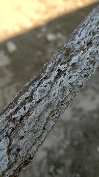  Traditional Indonesian Pamor Keris Sword Blade Pattern Texture