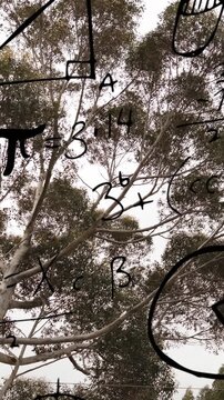 Animation of mathematical equations and formulas over tree against white background