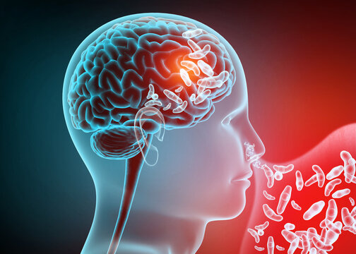 Medical illustration showing microscopic amoeba parasites entering a human nose, representing brain-eating infection and waterborne disease.