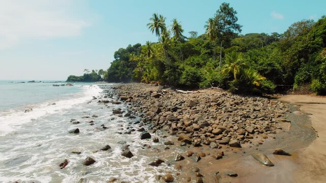 Rocky tropical shore with ocean waves and palm trees under clear blue sky