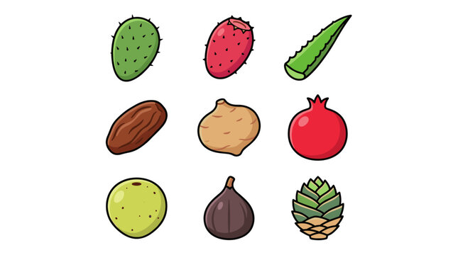 Succulent fruits and desert plant icons collection