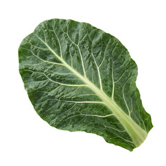 Fototapeta premium Broccoli Leaf Isolated On Transparent Background