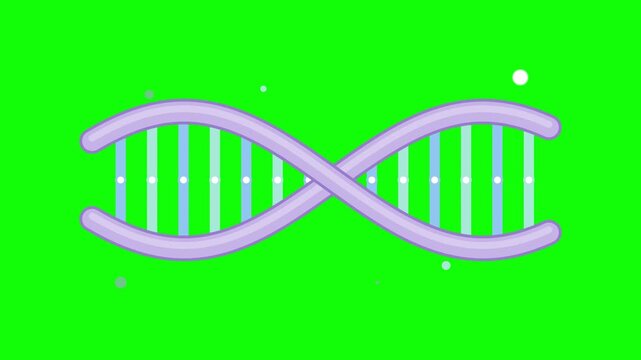 Six rotating dna double helix strands on green screen background