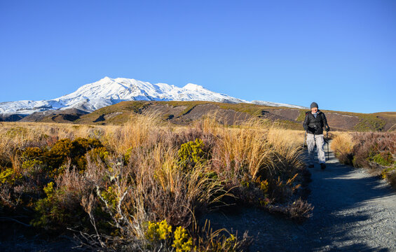 A hiker walks the Taranaki Falls Track. Snow-capped Mt Ruapehu rising in the background. Tongariro National Park. New Zealand.