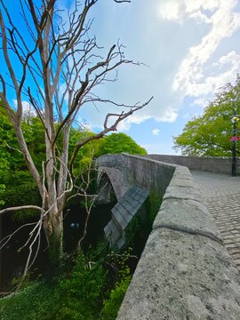 historic Brig o' Balgownie, a 13th-century single-arch medieval bridge spanning the River Don in Old Aberdeen, Scotland