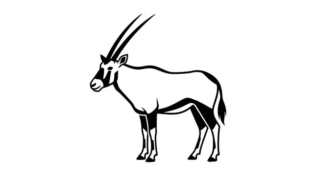 African oryx antelope silhouette on white background.