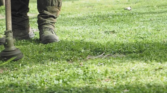 Close up shot of person wearing green work boots and pants operating a string trimmer to cut overgrown green grass on sunny day