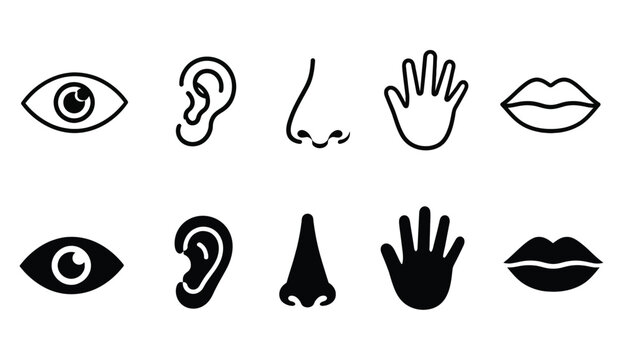 A collection of simple black and white line drawings depicting various human sensory organs and facial features