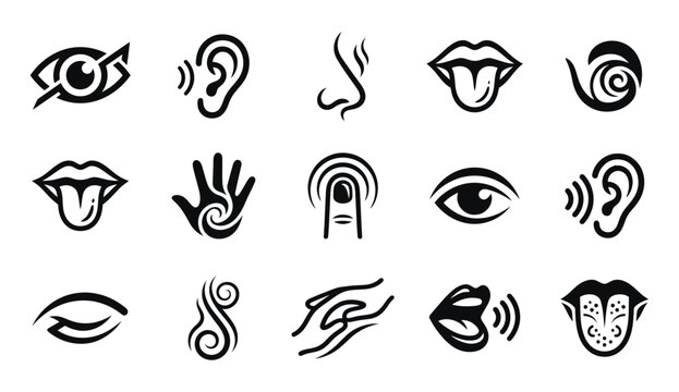 A collection of human sensory organs illustrated in a black and white sketch style focusing on perception