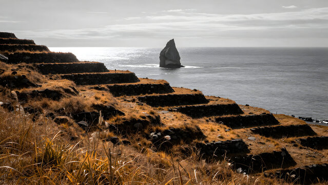 Coastal terraces overlooking a sea stack rock formation
