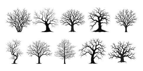 Bare tree silhouettes set, black leafless winter trees collection, 10 dead tree vector icons for landscape design and spooky decor © Vectorelle Art