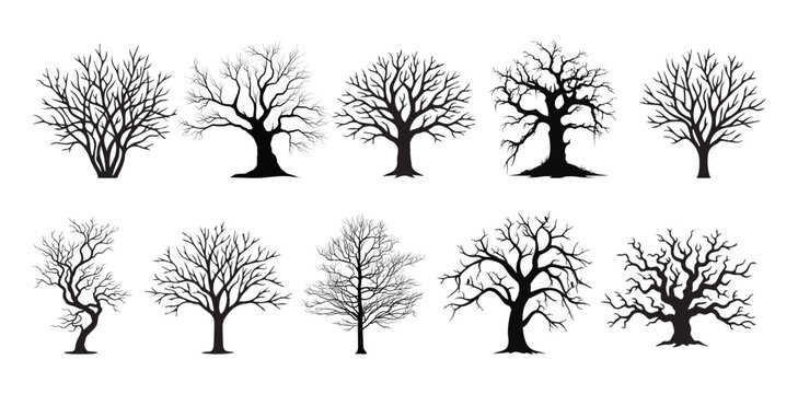 Bare tree silhouettes set, black leafless winter trees collection, 10 dead tree vector icons for landscape design and spooky decor