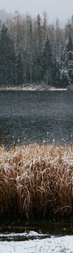 Lakeside meadow after first snowfall with water and snow