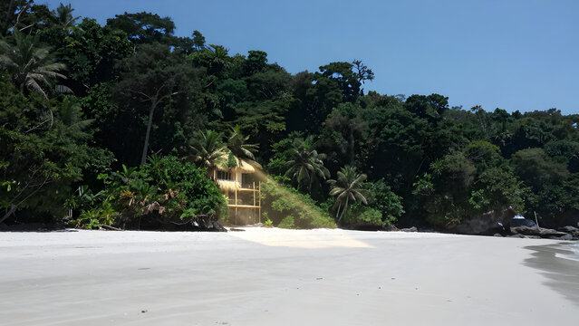 Beach hut nestled in lush tropical jungle landscape