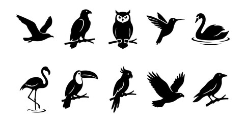 Fototapeta premium Bird and wildlife silhouette set with seagull, eagle, owl, hummingbird, swan, flamingo, toucan, parrot, hawk and crow shapes for nature, tropical and animal design, including 10 black vector 