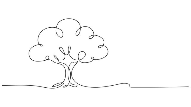 tree vector continuous one line drawing animation, Leaves continuous line drawing animated video.tree vector continuous one line drawing animation, Leaves continuous line drawing animated video. Plant