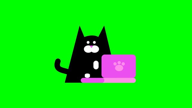 Animated black cat using purple laptop on green screen background