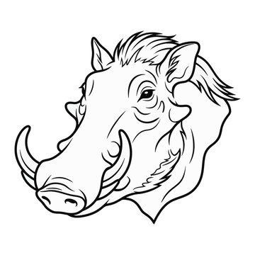 Warthog head vector illustration featuring detailed line art of wild boar animal face, tusks, and mane in black and white outline style