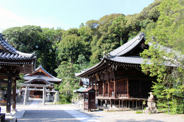 Obraz premium Wooden Belfry and Stone Torii Gate at Hantaji (Temple 50) on Shikoku Henro Pilgrimage, Ehime 2026