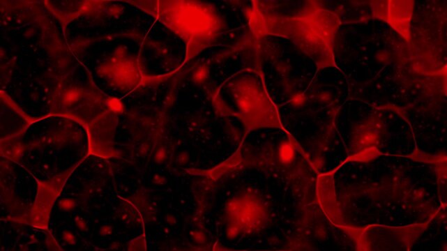 Red, abstract blood texture or streaks on a black background with an alpha channel.
