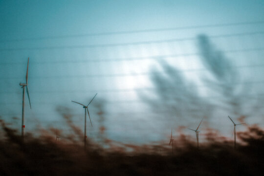 wind turbines in the field