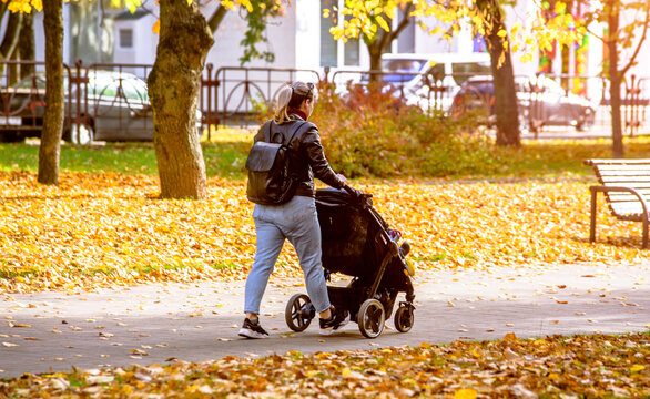 Mother wheeling a pram in the Park
