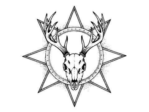Mystical deer skull and antlers within a textured star and circular emblem line art