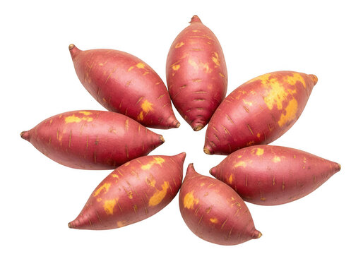 Fresh sweet potatoes arranged in circle isolated on transparent background