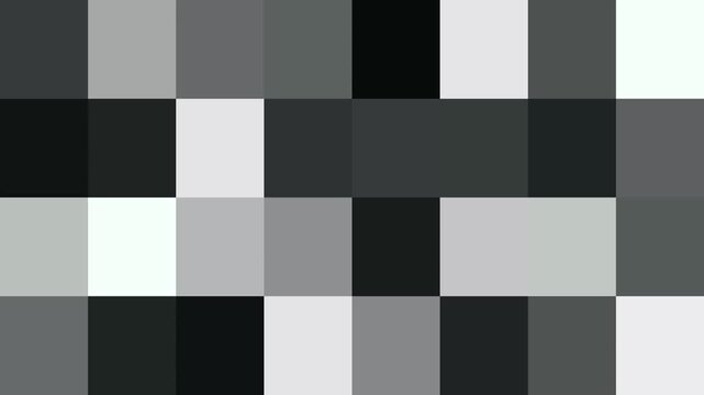 black-and-white pixelated mosaic pattern, similar to a digital censorship screen or video pixelation overlay
