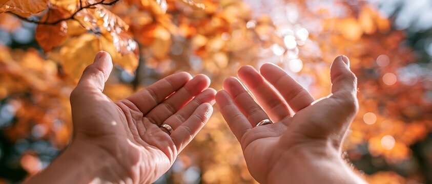 Person holding autumn leaves with open palms under sunlit trees