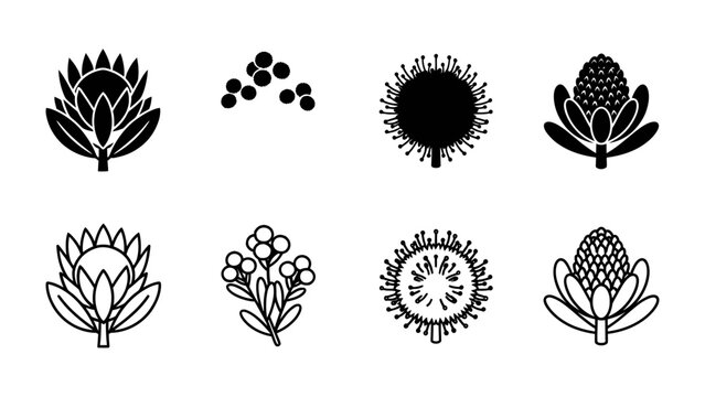 South African Protea Flower Icon Set: A collection of black and white graphic icons representing the iconic South African Protea flower and smaller complementary floral elements.