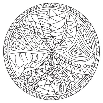 Intricate Botanical Zentangle Circle Coloring Page