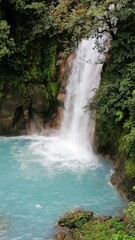 Stunning view of Rio Celeste waterfall plunging into the vibrant turquoise pool in Tenorio Volcano National Park, Bijagua, Costa Rica. © CostaRicaNature