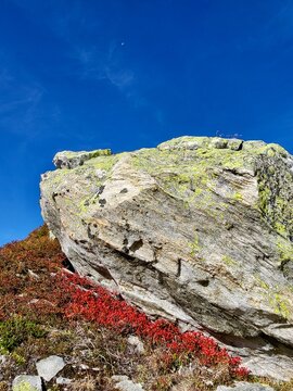 Unique close-up of an alpine autumn scene at Grimsel Pass in the Bernese Oberland, Switzerland, featuring imposing rugged rock surrounded by vibrant red bilberry bushes beneath a deep blue sky.