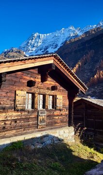 Picturesque traditional Swiss alpine chalets on Fafleralp in the L&ouml;tschental, Valais, Switzerland, surrounded by golden-yellow larches in beautiful autumn scenery, Valais, Switzerland