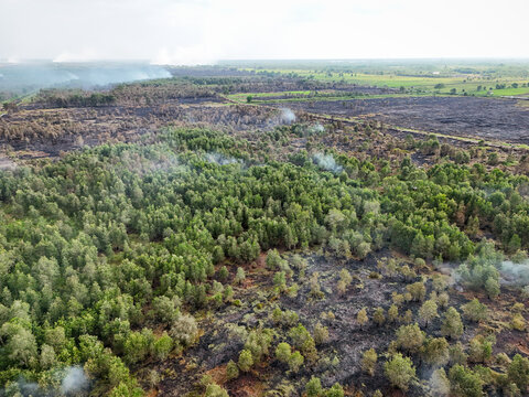 Aerial view of a forest landscape in Indonesia showing patches of burnt ground and smoke from recent wildfires, with remaining green trees and vegetation.