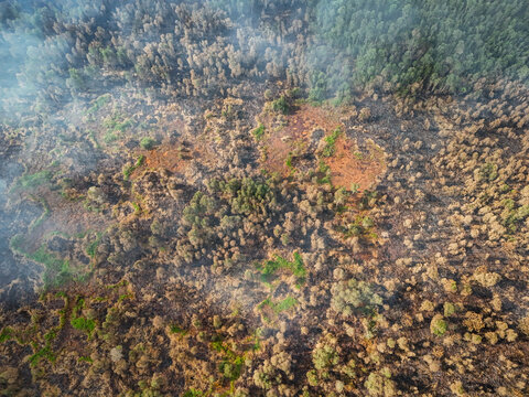 Aerial view of a forest landscape showing extensive fire damage with charred trees, patches of smoke, and remaining green vegetation in Indonesia.