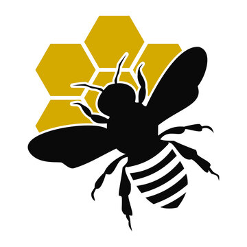 Honeycomb and bee icon isolated on transparent background