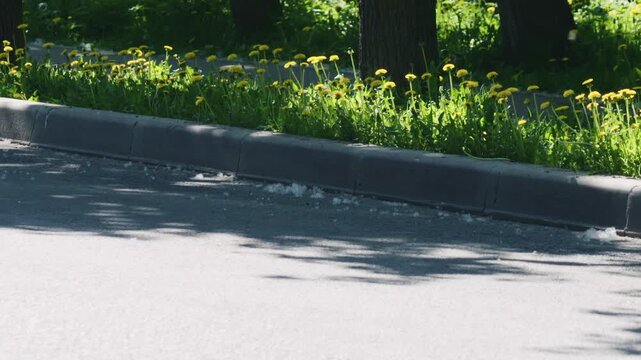 Slow motion poplar fluff slowly falling on a street
