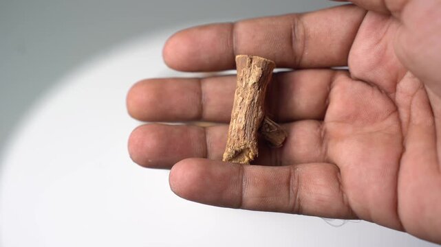 Mulethi &ndash; Ayurvedic Licorice Root, Glycyrrhiza Glabra Herbal Plant Traditionally Used for Throat, Digestive and Respiratory Wellness