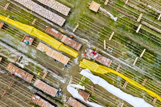 Aerial view of workers drying fish on bamboo racks covered with yellow and white tarps in the dry fish processing area of Cox's Bazar, Chittagong Division, Bangladesh.