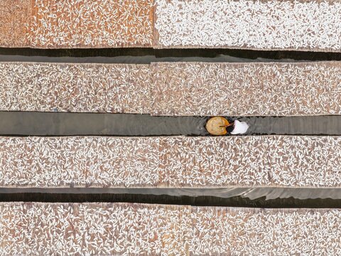 Aerial view of a worker carrying a basket between long wooden racks filled with drying fish in the coastal area of Cox's Bazar, Chittagong Division, Bangladesh.